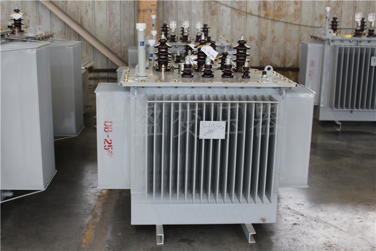 吐鲁番S20-800kVA/10kV/0.4kV变压器